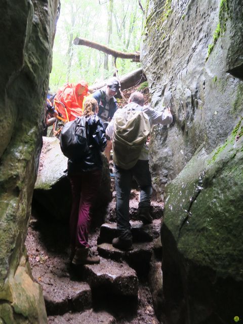 Randonnée joëlettes à Mullerthal