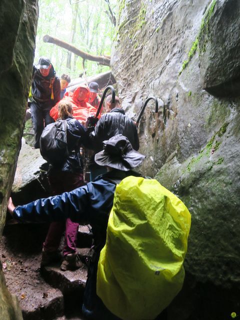 Randonnée joëlettes à Mullerthal