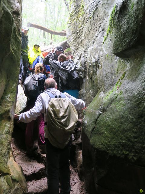 Randonnée joëlettes à Mullerthal