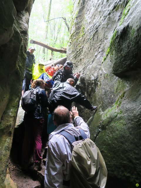 Randonnée joëlettes à Mullerthal