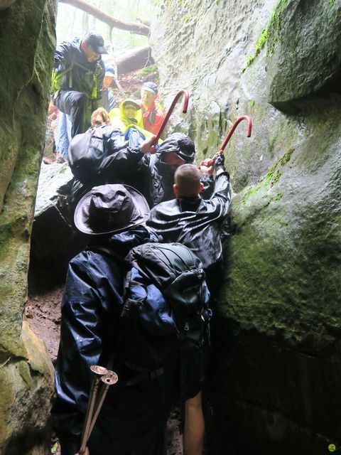 Randonnée joëlettes à Mullerthal