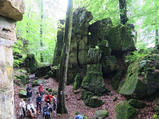 Randonnée joëlettes à Mullerthal