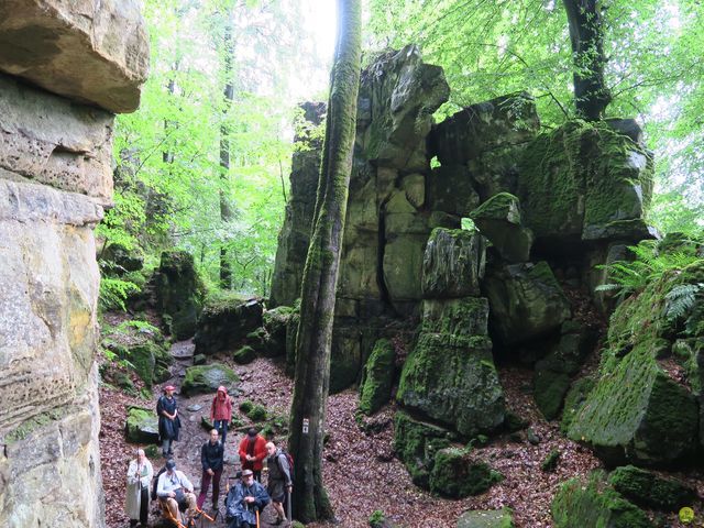 Randonnée joëlettes à Mullerthal