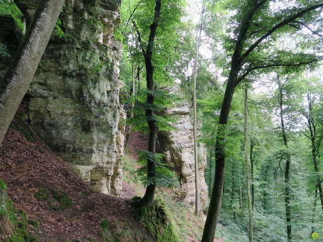 Randonnée joëlettes à Mullerthal