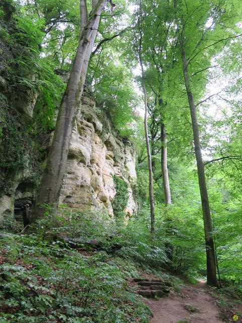 Randonnée joëlettes à Mullerthal