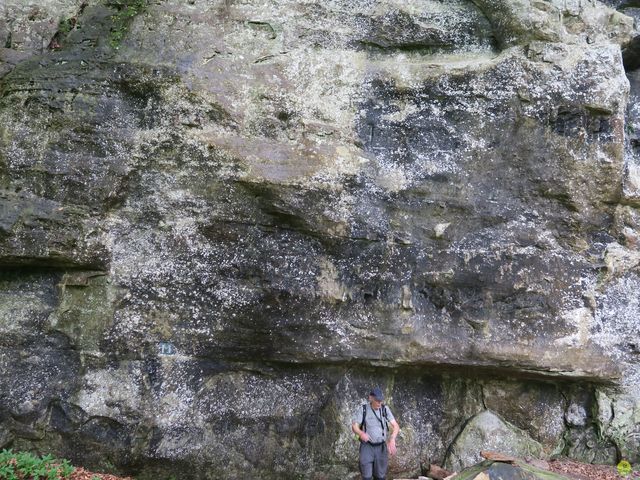 Randonnée joëlettes à Mullerthal