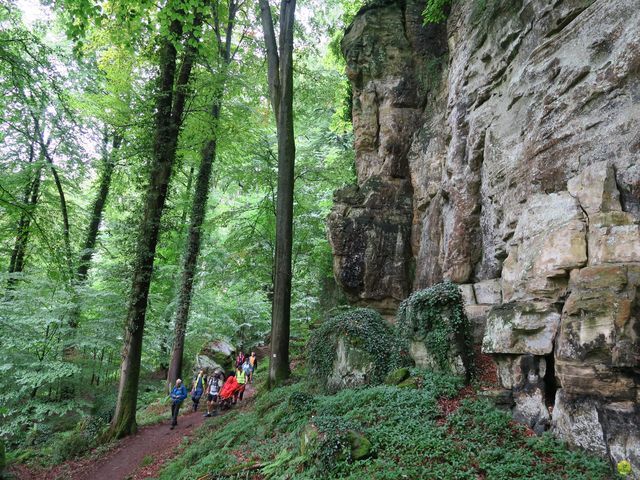 Randonnée joëlettes à Mullerthal