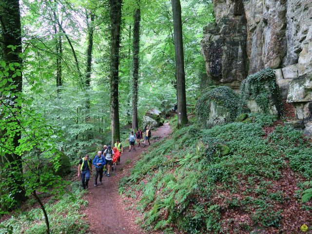 Randonnée joëlettes à Mullerthal