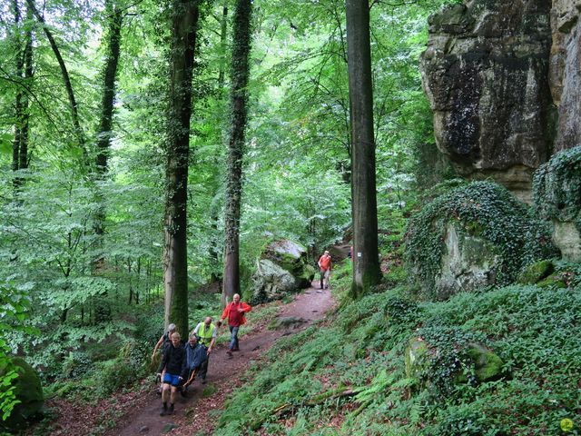 Randonnée joëlettes à Mullerthal