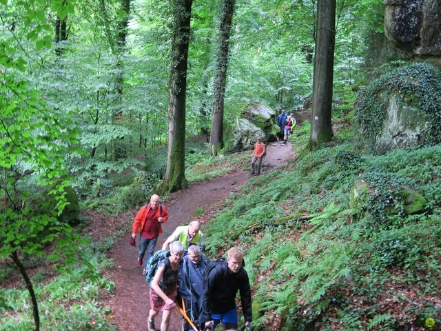 Randonnée joëlettes à Mullerthal