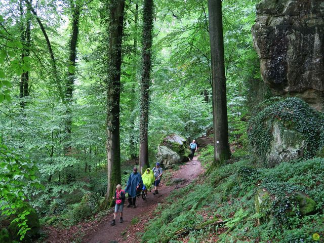 Randonnée joëlettes à Mullerthal