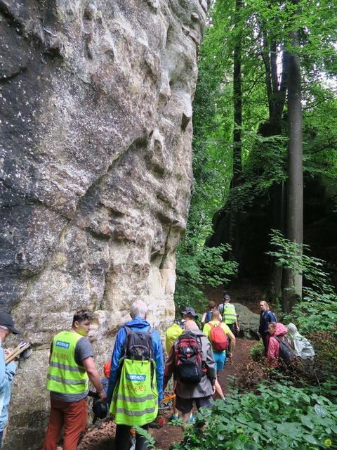 Randonnée joëlettes à Mullerthal