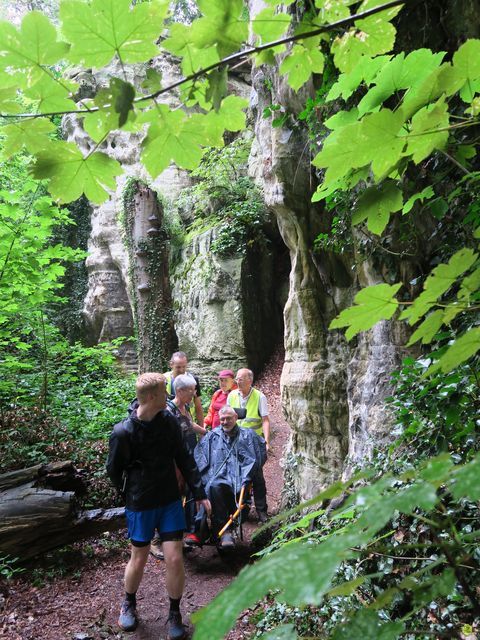 Randonnée joëlettes à Mullerthal