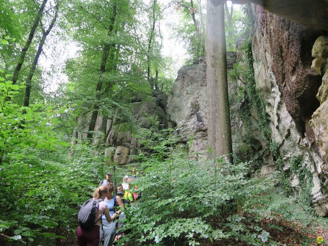 Randonnée joëlettes à Mullerthal