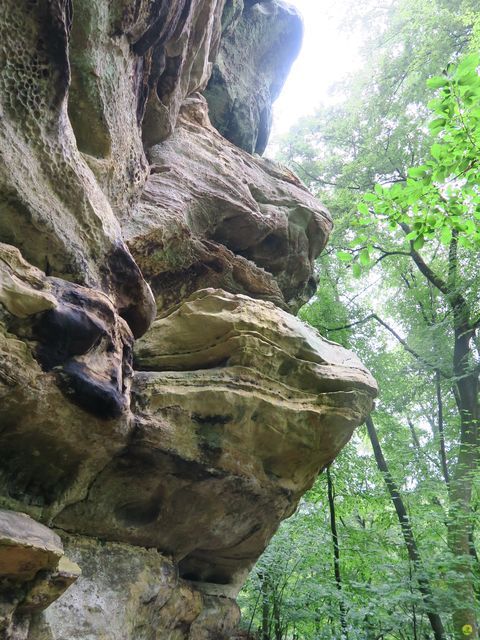 Randonnée joëlettes à Mullerthal