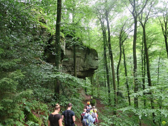 Randonnée joëlettes à Mullerthal