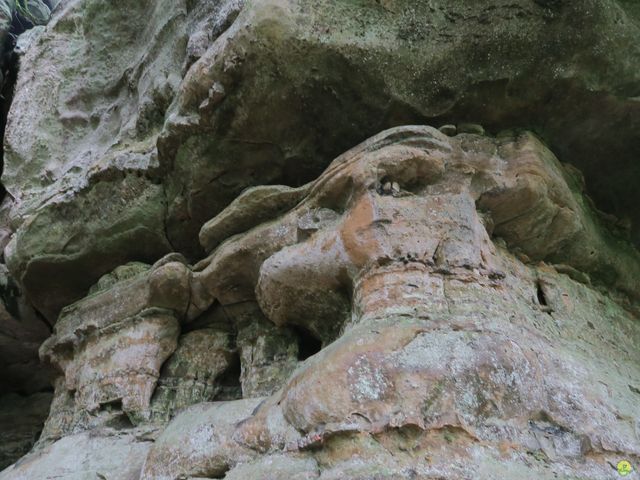 Randonnée joëlettes à Mullerthal