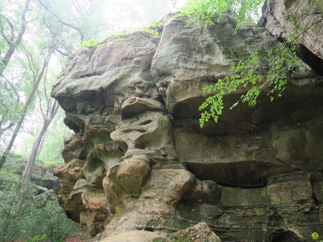 Randonnée joëlettes à Mullerthal