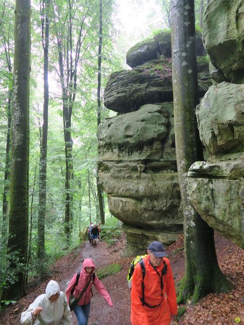 Randonnée joëlettes à Mullerthal