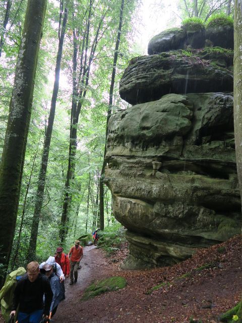 Randonnée joëlettes à Mullerthal