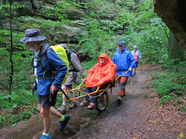 Randonnée joëlettes à Mullerthal