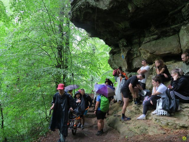 Randonnée joëlettes à Mullerthal