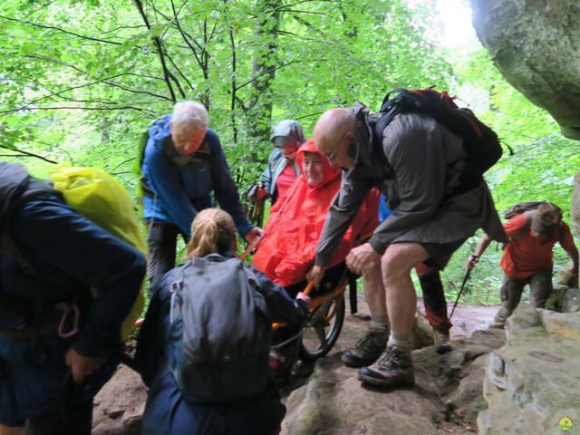 Randonnée joëlettes à Mullerthal