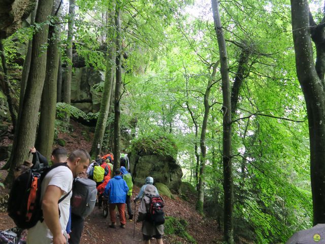 Randonnée joëlettes à Mullerthal