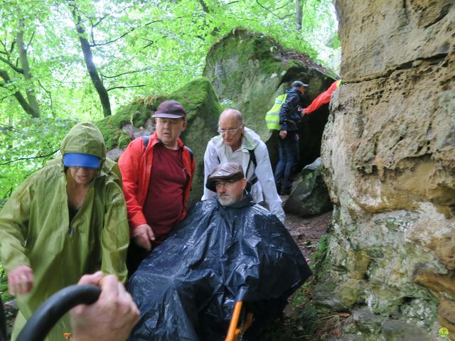 Randonnée joëlettes à Mullerthal