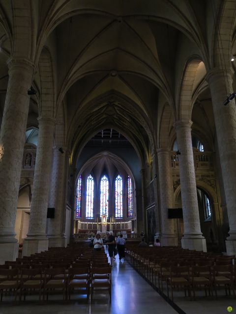 Randonnée joëlettes à Luxembourg