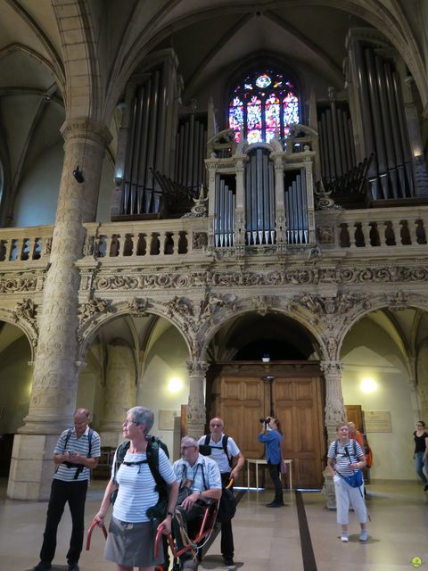 Randonnée joëlettes à Luxembourg