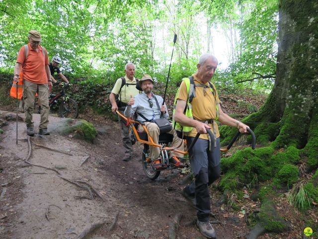 Randonnée joëlettes à Berdorf