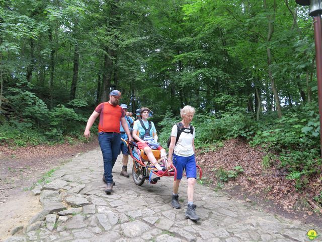 Randonnée joëlettes à Berdorf