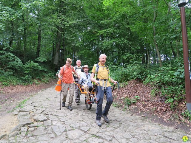 Randonnée joëlettes à Berdorf