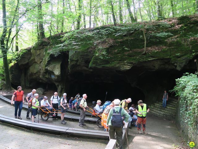 Randonnée joëlettes à Berdorf