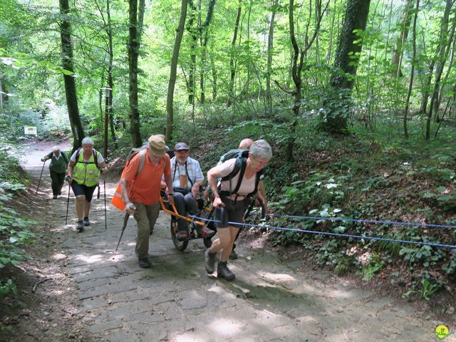 Randonnée joëlettes à Berdorf