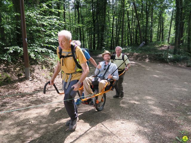 Randonnée joëlettes à Berdorf