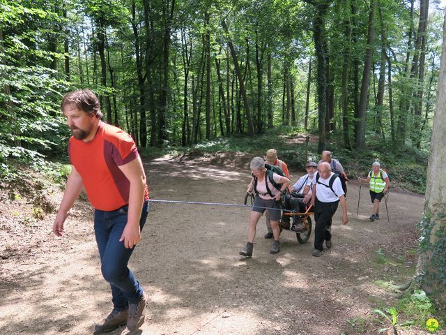 Randonnée joëlettes à Berdorf