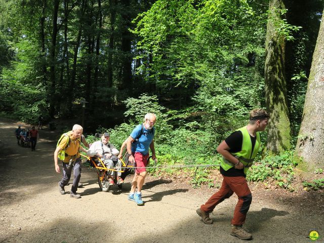 Randonnée joëlettes à Berdorf