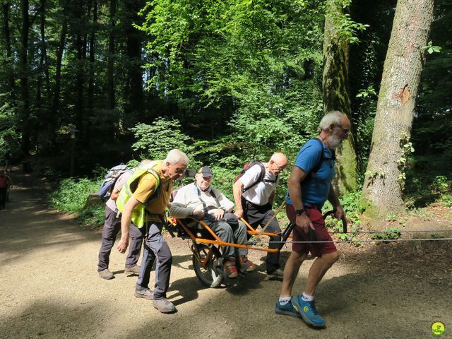 Randonnée joëlettes à Berdorf