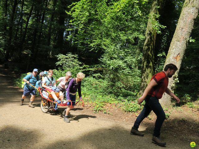 Randonnée joëlettes à Berdorf