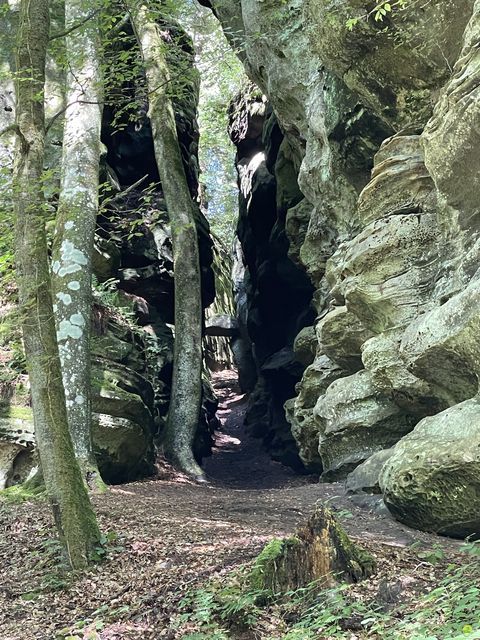 Randonnée joëlettes à Perekop