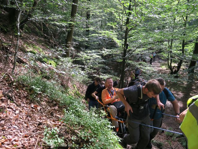 Randonnée joëlettes à Ternell