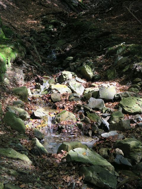 Randonnée joëlettes à Ternell