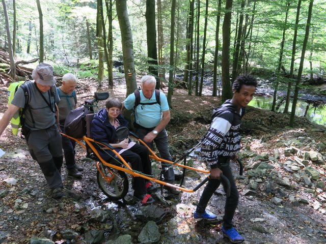 Randonnée joëlettes à Ternell