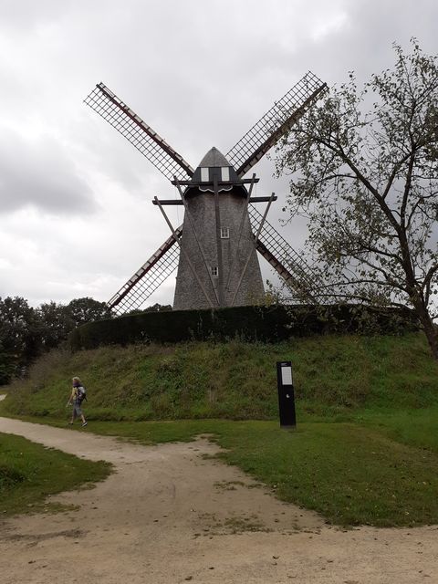 Randonnée joëlettes à Maasmechelen