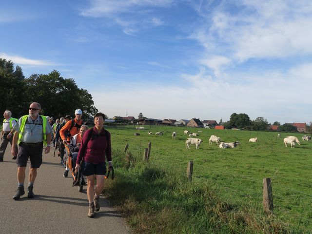 Séjour à Maasmechelen