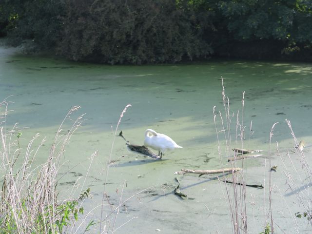 Séjour à Maasmechelen