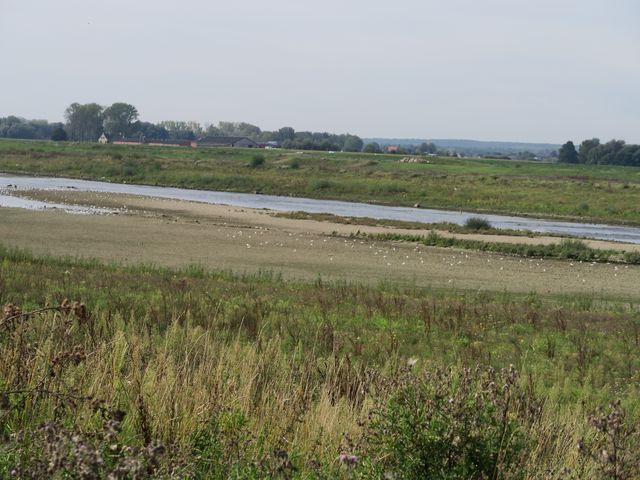 Séjour à Maasmechelen