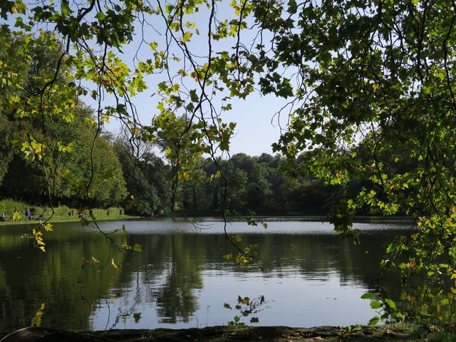 Randonnée joëlettes à Watermael